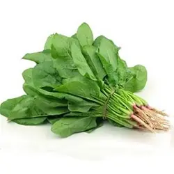 بذر سبزی اسفناج