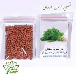 بذر سبزی اسفناج