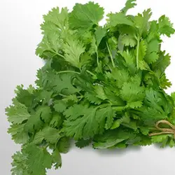 بذر سبزی جعفری