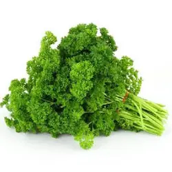 بذر سبزی جعفری فر