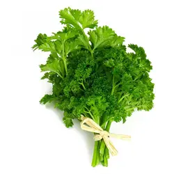 بذر سبزی جعفری فر