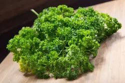 بذر سبزی جعفری فر