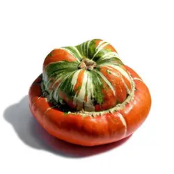 بذر کدو رقم Turban squash
