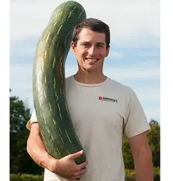 بذر کدو ناپولی