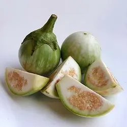 بذر بادمجان نخودی تایلندی Pea eggplant