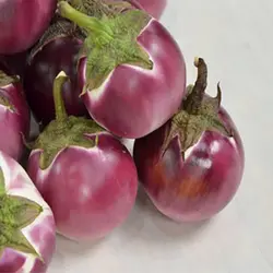 بذر بادمجان گرد بنفش