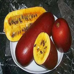بذر خیار sicana odorifera