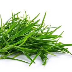 بذر سبزی ترخون روسی