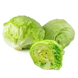 بذر کاهو آیس برگ (کاهو پیچ سالادی)