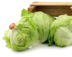 بذر کاهو آیس برگ (کاهو پیچ سالادی)