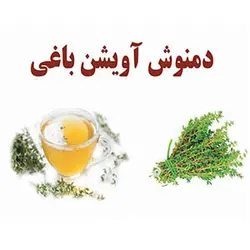 دمنوش آویشن باغی