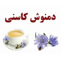 دمنوش کاسنی