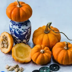 بذر کدو حلوایی مینیاتوری رقم جک کوچک