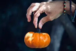 بذر کدو حلوایی مینیاتوری رقم جک کوچک