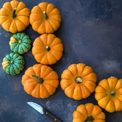 بذر کدو حلوایی مینیاتوری رقم جک کوچک