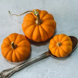 بذر کدو حلوایی مینیاتوری رقم جک کوچک