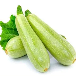 بذر کدو خورشتی سبز هیبرید پرمحصول