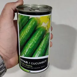 بذر خیار زمینی بت آلفا قوطی 100 گرمی