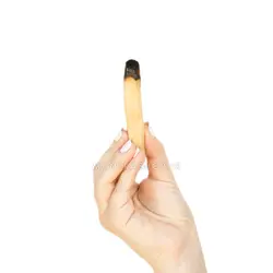 پالو سانتو Palo Santo چوب مقدس اصل بسته 1 عددی (6 گرم)