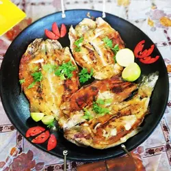 ساج و سه پایه مسافرتی به همراه گریل و کیف برزنتس فوق محکم