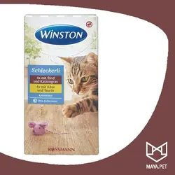 پک 8 تایی بستنی گربه وینستون طعم پنیر و گوشت گاو (زرد و قهوه‌ای) | مایاپت