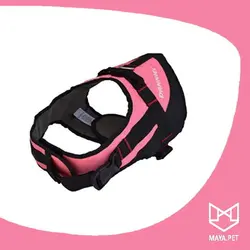 قلاده تنی سگ مدل ناپلئون دنیل | مایاپت