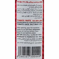 رب گوجه فرنگی قوطی آسان بازشو800 گرمی دلپذیر