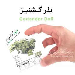 بذر گشنیز