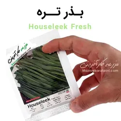 بذر تره Houseleek Fresh