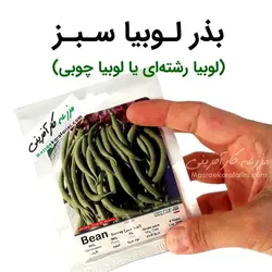 بذر لوبیا سبز