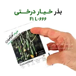 بذر خیار درختی F1 L-666