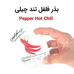 بذر فلفل تند چیلی