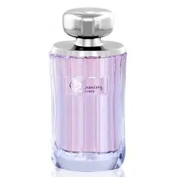 ادو پرفیوم زنانه رزماری مدل Charming حجم 100 میلی لیتر