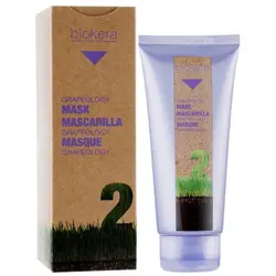 ماسک ترمیم کننده هسته انگور بیوکرا سالرم مدل Grapeology حجم 300 میلی لیتر