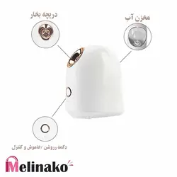 دستگاه بخار صورت نانو یونی مدل Facial steamer Ionic Mini Steaming  professional