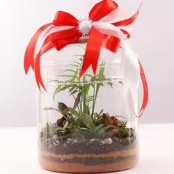 تراریوم مدل:گلد متوسط