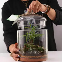 تراریوم مدل:گلد متوسط