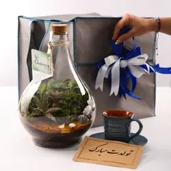 تراریوم پوپک VIP