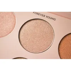 هایلایتر آناستازیا شش تایی ANASTASIA NICOLE GUERRIERO