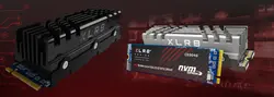 اس اس دی پی ان وای CS3040 M.2 2280 NVMe 1TB
