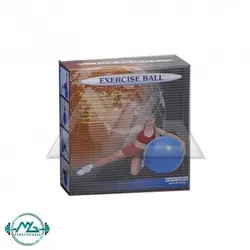 توپ جیم بال خاردار MegaFitness کد 078 - فروشگاه لوازم ورزشی ام جی اسپرت فیتنس