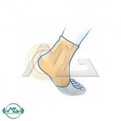 جوراب محافظ آشیل پا ال پی مدل LP 348 - فروشگاه لوازم ورزشی ام جی اسپرت فیتنس