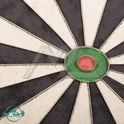 دارت سوزنی یونیکورن مدل ESLIPSE PRO - فروشگاه لوازم ورزشی ام جی اسپرت فیتنس