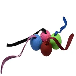 اسباب بازی توپ فومی سایز متوسط - پت شاپ آنلاین میگ میگ پت