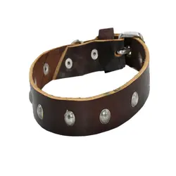 قلاده سگ مدل چرم گردنی 3 سانتی کد da330 - پت شاپ آنلاین میگ میگ پت