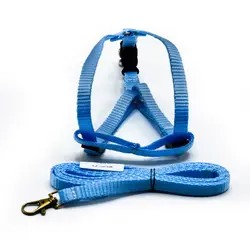 قلاده کمری گربه کد CA315 - پت شاپ آنلاین میگ میگ پت