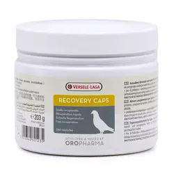 کپسول پروتئین پرنده - پت شاپ آنلاین میگ میگ پت