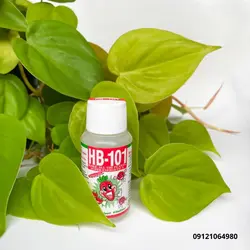 کود و محرک رشد HB 101 ژاپن هورمون جادویی ۵۰ میلی لیتر قیمت خرید فروش