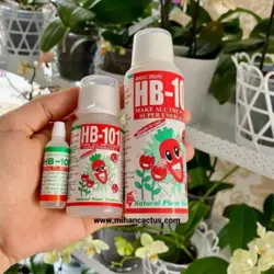 کود و محرک رشد HB 101 ژاپن هورمون جادویی ۵۰ میلی لیتر قیمت خرید فروش