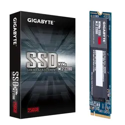 اس اس دی گیگابایت NVMe ظرفیت 256GB
